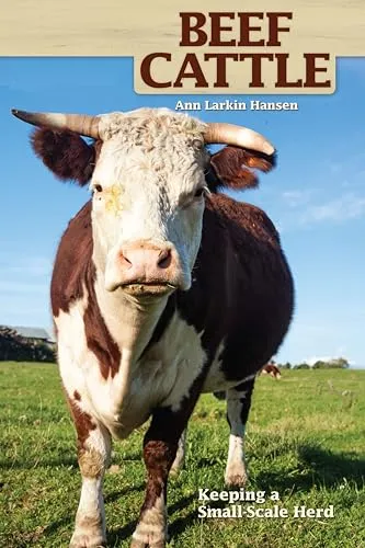 Beef Cattle
